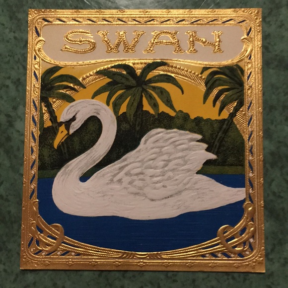 cygnet2